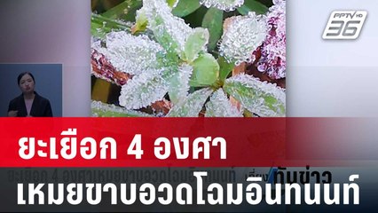 ยะเยือก 4 องศา เหมยขาบอวดโฉมอินทนนท์ | เที่ยงทันข่าว | 22 ม.ค. 67