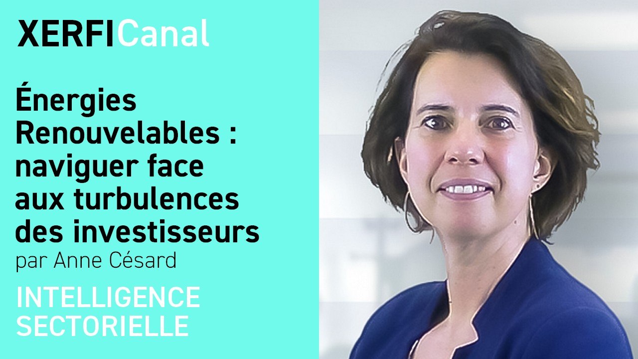 Énergies Renouvelables: naviguer face aux turbulences des investisseurs [Anne Césard]