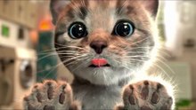 El GATO En La VIDA REAL, Little Kitten My Favorite Cat, ¡GATO ENFERMO!