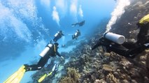 Türk dalış ekibi Şarm El-Şeyh'in sualtı güzelliklerini keşfetti