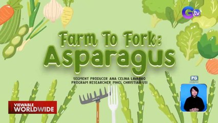 Asparagus farming sa Tarlac at Laguna, alamin! | Dapat Alam Mo!