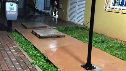 Armas de fogo são apreendidas na casa de suspeito de agredir a esposa