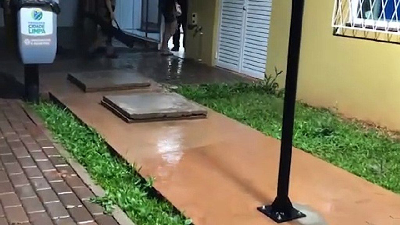 Armas de fogo são apreendidas na casa de suspeito de agredir a esposa