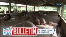 Dept of Agriculture: African swine fever, nakapasok na sa Occidental Mindoro | GMA Integrated News Bulletin