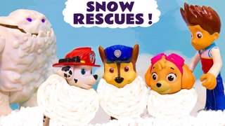 Paw Patrol Snow Rescue Stories with the Toy Pups