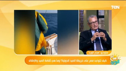 منهم سمكة نابليون.. تعرف على الأسماك الممنوع صيدها وشروط الحصول على رخصة الصيد