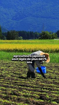 Japon : Face au vieillissement de la population, l’économie nippone innove