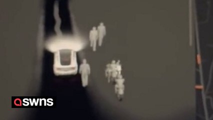 Eerie moment Tesla detected mysterious figures swarming graveyard