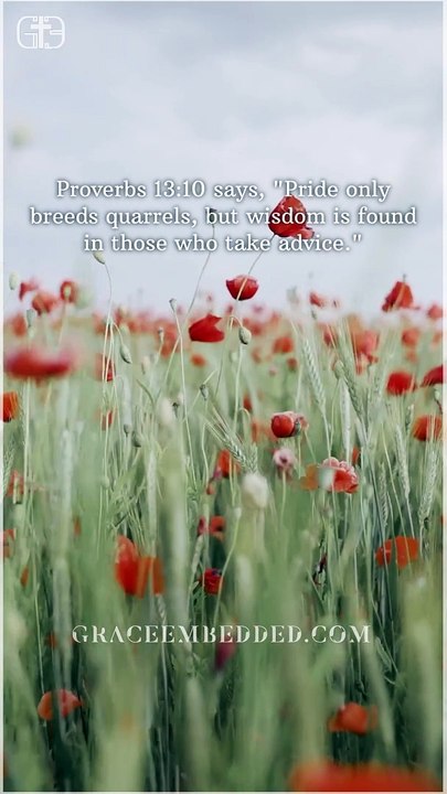 #8 Building Stronger Relationships • One-minute Inspiration for Success • Rise Above