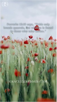 #8 Building Stronger Relationships • One-minute Inspiration for Success • Rise Above