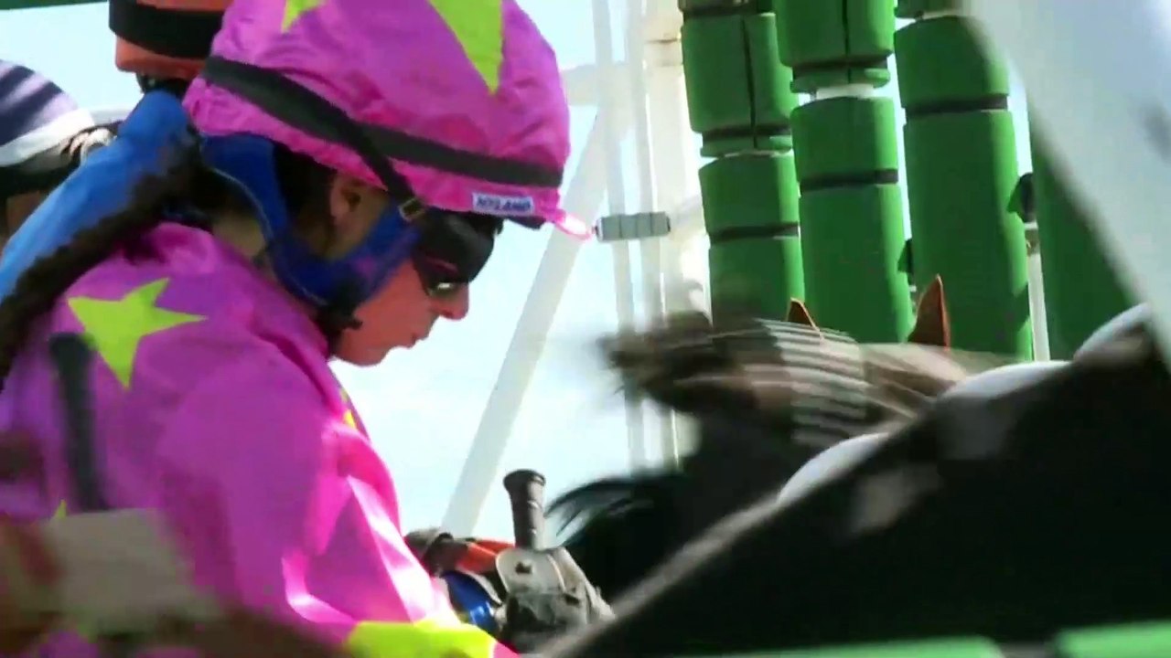 Gran Hipódromo de Andalucía  - Hípica