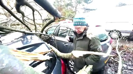 Storm Isha: Linlithgow woman inspects the damage after a tree lands on her car