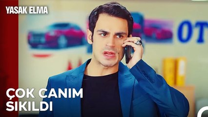 Alem Bizi Sevgili Bilirken Bu Haber De Ne?1 - Yasak Elma 34. Bölüm