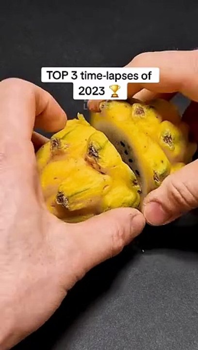 time lapse plant