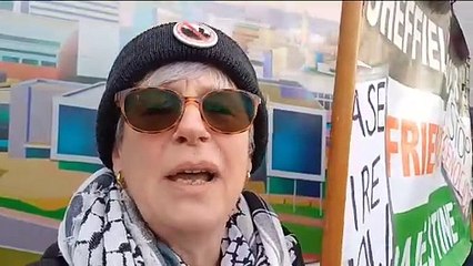 Sheffield Palestine protest outside city MP's office