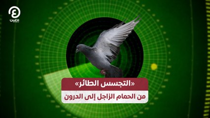 «التجسس الطائر» من الحمام الزاجل إلى الدرون