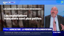 Agriculteurs: l'indépendance alimentaire de la France est-elle menacée?