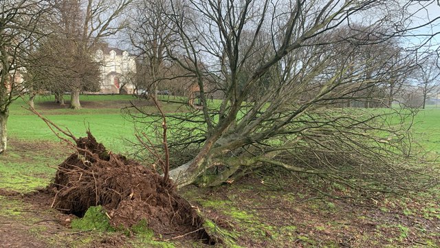 Storm Isha hits Causeway Coast and Glens as gusts of around 80mph cause havoc