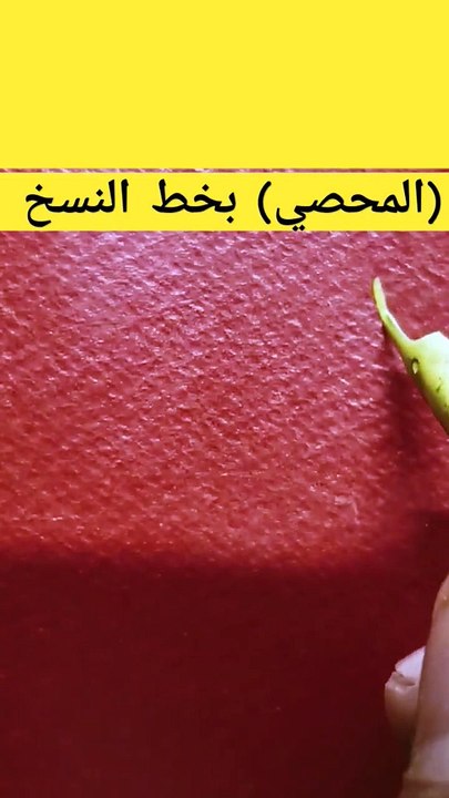 (المُحْصِي) Almuhsy
