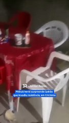 Pitbull herói surpreende ladrão que invadiu residência, em Criciúma