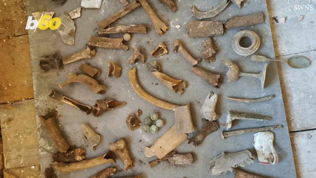 Plumber Shocked to Find Bones Buried Beneath Customer’s Bathroom