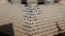 Burada ziyaretçileri fareler karşılıyor! Apollon Smintheus Tapınağı
