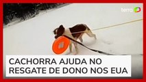 Cachorra ajuda a resgatar dono que caiu em lago parcialmente congelado nos EUA