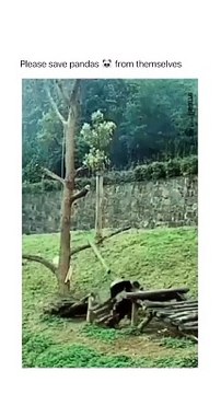 Joyful Jokes and Gags : Can't Stop Laughing Challenge!