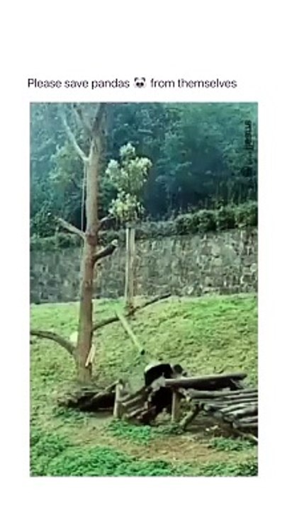 Joyful Jokes and Gags : Can't Stop Laughing Challenge!