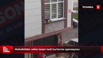 İstanbul'da nefes kesen kedi kurtarma operasyonu