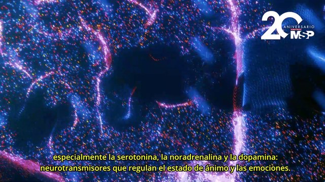 Lucha contra la depresión: ¿Cómo se refleja o cambia la depresión al cuerpo? - #ExclusivoMSP