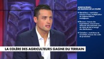 Aleksandar Nikolic sur la colère des agriculteurs :«On ne peut pas être en concurrence avec des pays qui n’obéissent pas aux mêmes normes»