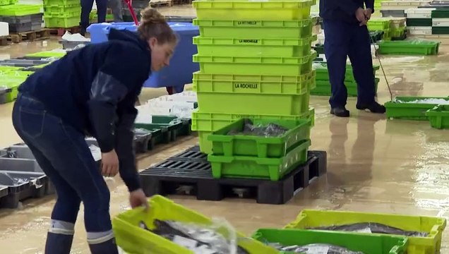 Interdiction de pêche dans le golfe de Gascogne : on va être solidaires avec les marins