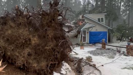 Oregon Storm wreaks havoc; smashes colossal tree on top of a house