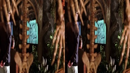 VR 3D SBS | X-Men Jeans Grey All Powers Level 5 Mutant