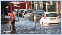В 2023 году Словению опустошило наводнение — как готовятся к экстремальным дождям в будущем?