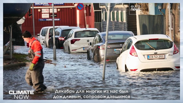 В 2023 году Словению опустошило наводнение — как готовятся к экстремальным дождям в будущем?