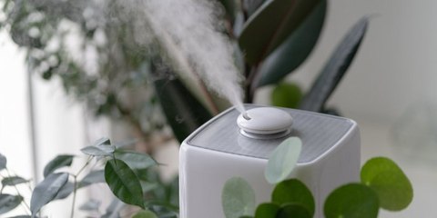 7 astuces pour se remettre rapidement de la grippe