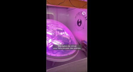 BioPod : une solution pour l'agriculture du futur