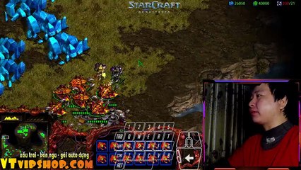 Starcraft 0401 2024 (3)