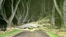 Tempête Isha : des vents à 160 km/h secouent le nord-ouest de l'Europe, un mort en Ecosse