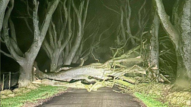Tempête Isha : des vents à 160 km/h secouent le nord-ouest de l'Europe, un mort en Ecosse