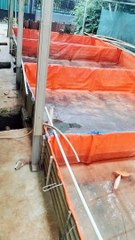 25 hari untung 800rb❗Tipis sih, tapi disyukuri saja, yang penting berkah