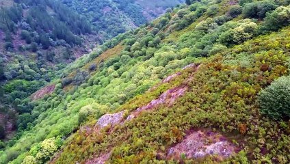 Solo Con Il Drone Si Può Vedere Un Fiume Coperto Dalla Vegetazione♒(21° Ep.)