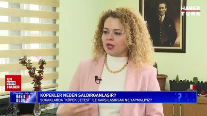 İBB Müdürü sokak köpeğinden korunma yöntemini söyledi! Köpeği anlamaya çalışmalıyız