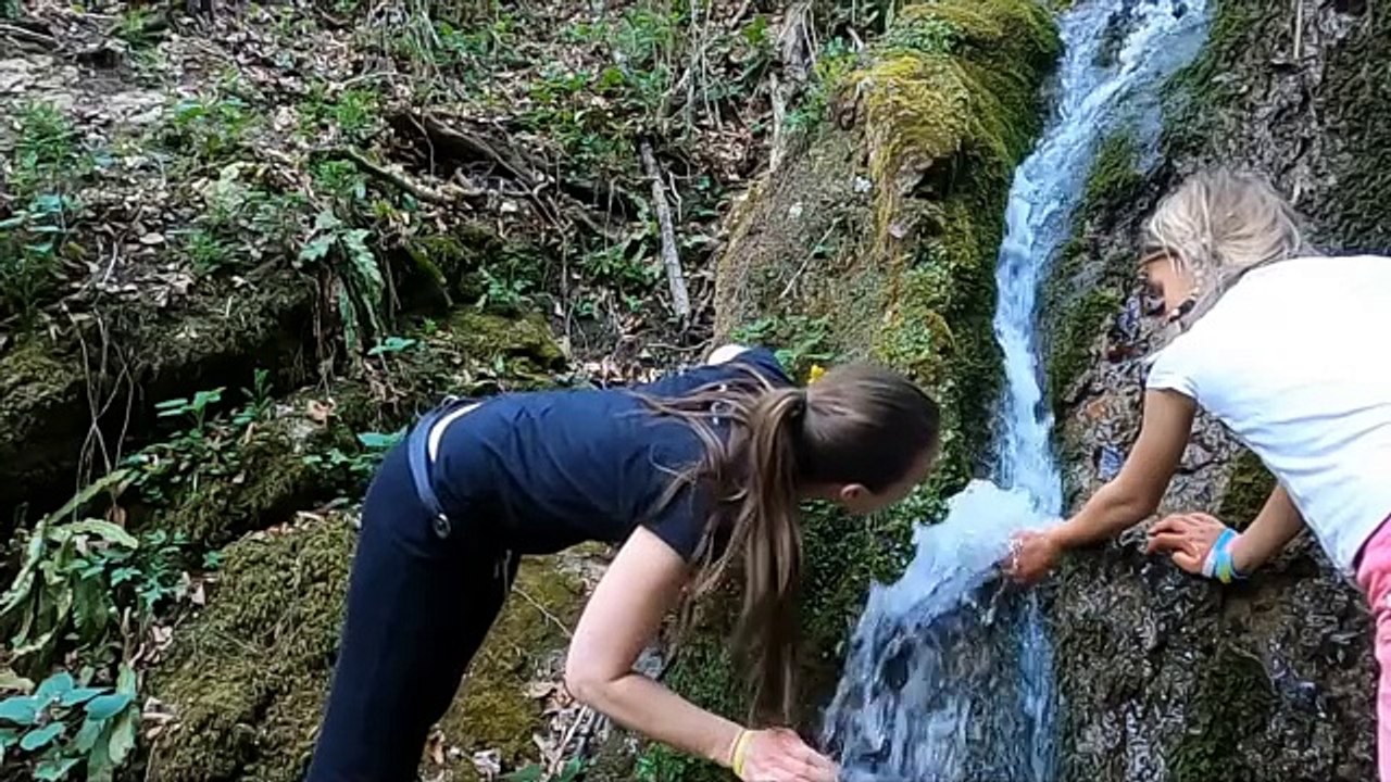 Kidneys - Natural Care, get rid of kidney pain.