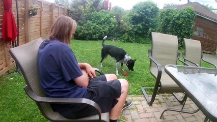 Jack in the box funny/Horror short