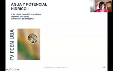 Fisiología vegetal - Agua - parte 1