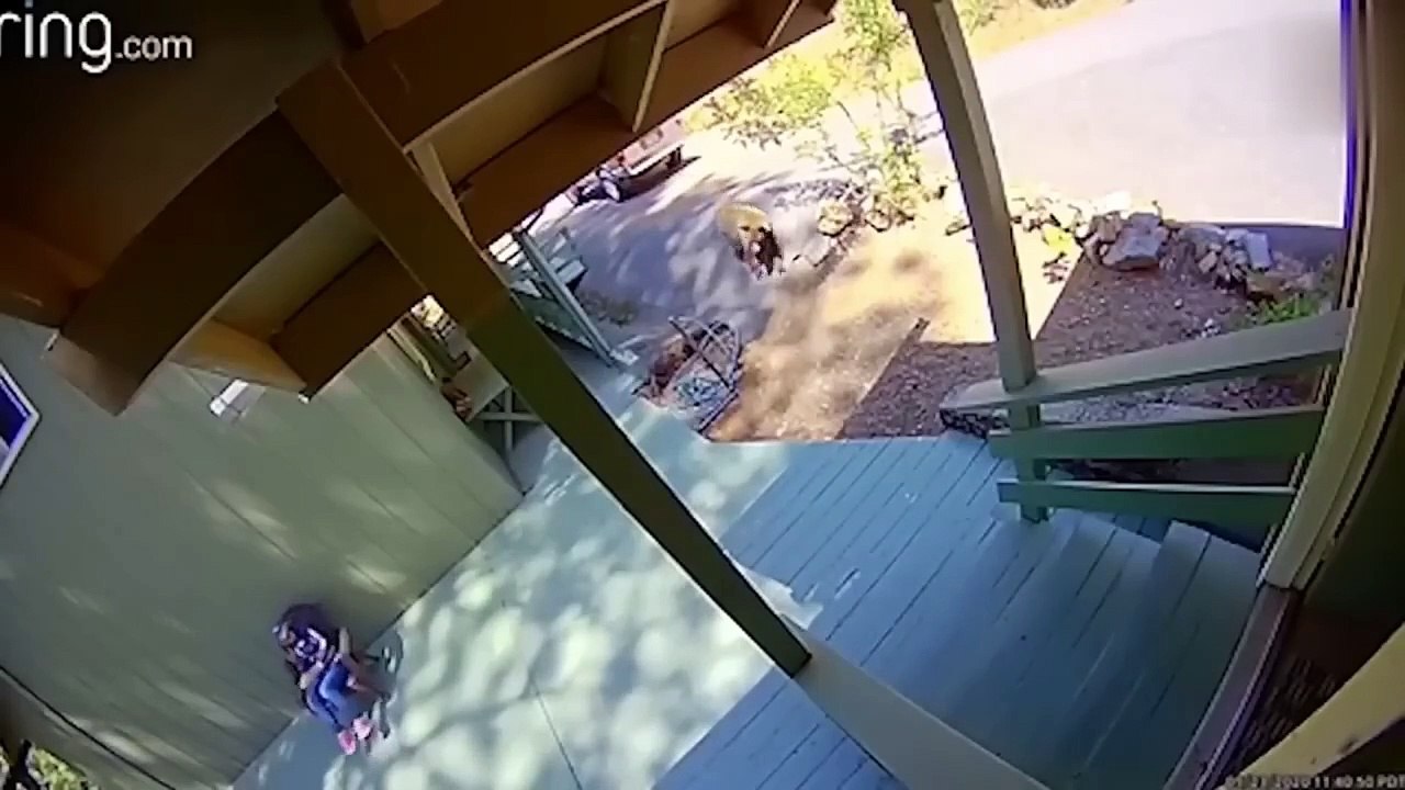 Funny Girls Fails 2024 TRY NOT TO LAUGH, Best Funny Videos Compilation, Best Girl Fails Of The Year Memes 2024 Instant Regret Compilation 2024 #21