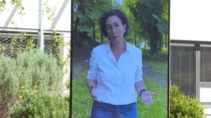 TS pide a Fiscalía que informe sobre la petición de García Castellón de investigar a Puigdemont